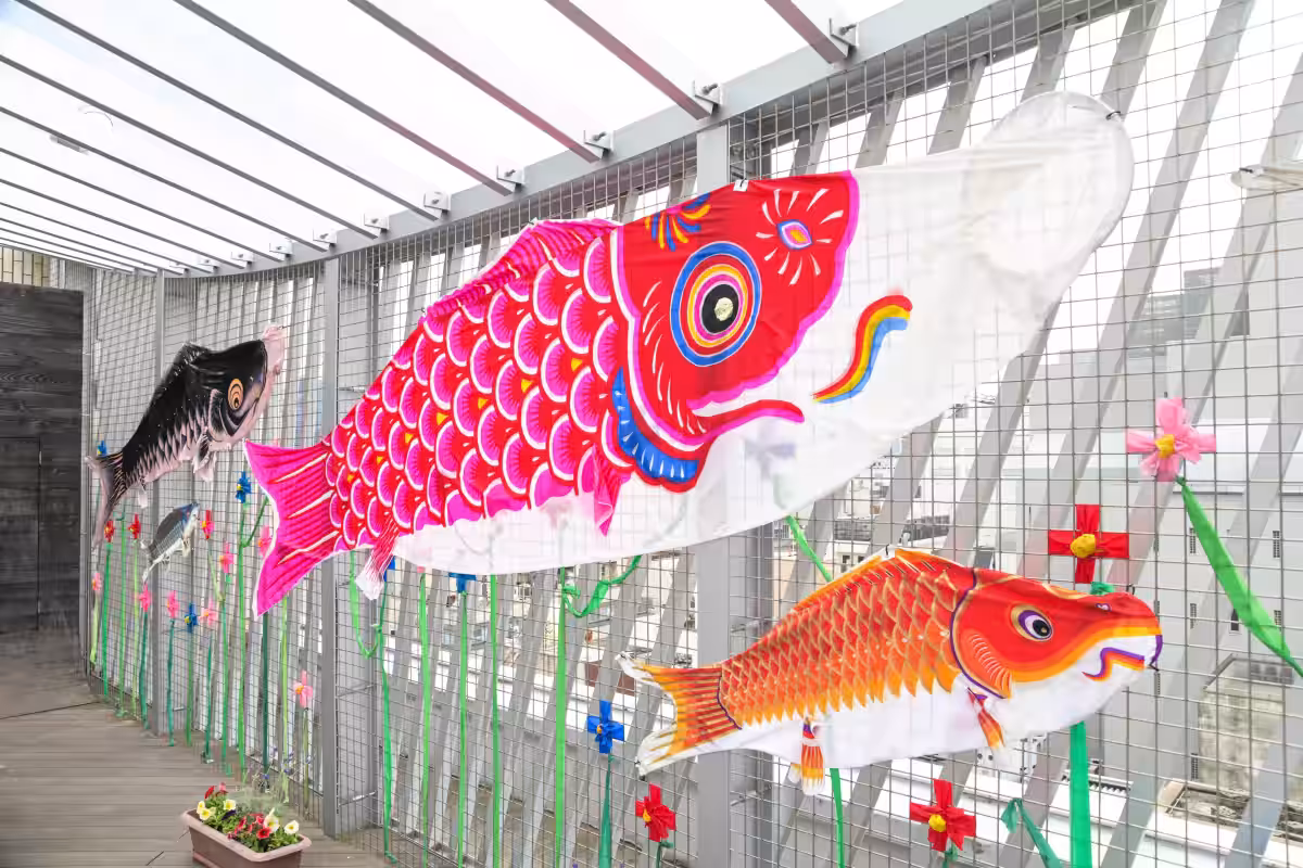画像6