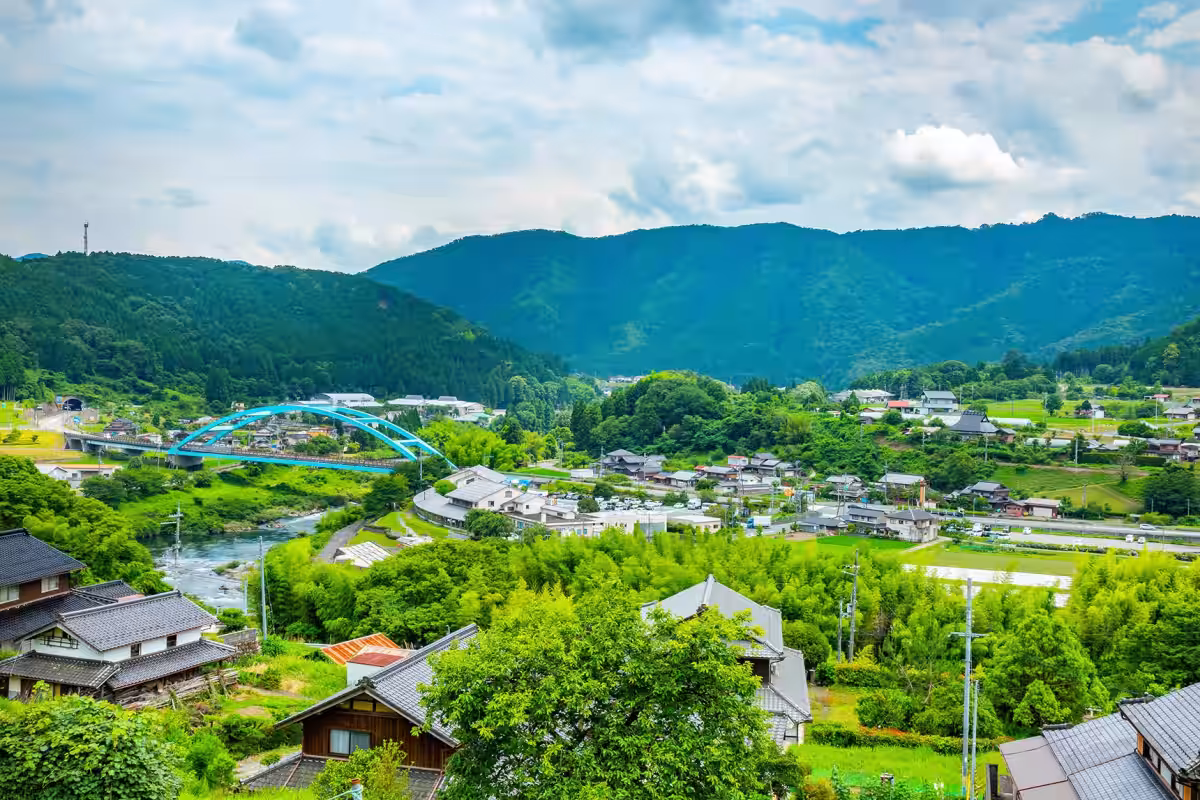 画像7