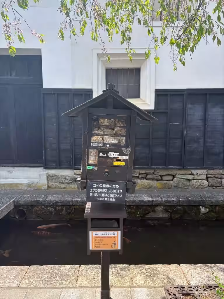 画像7