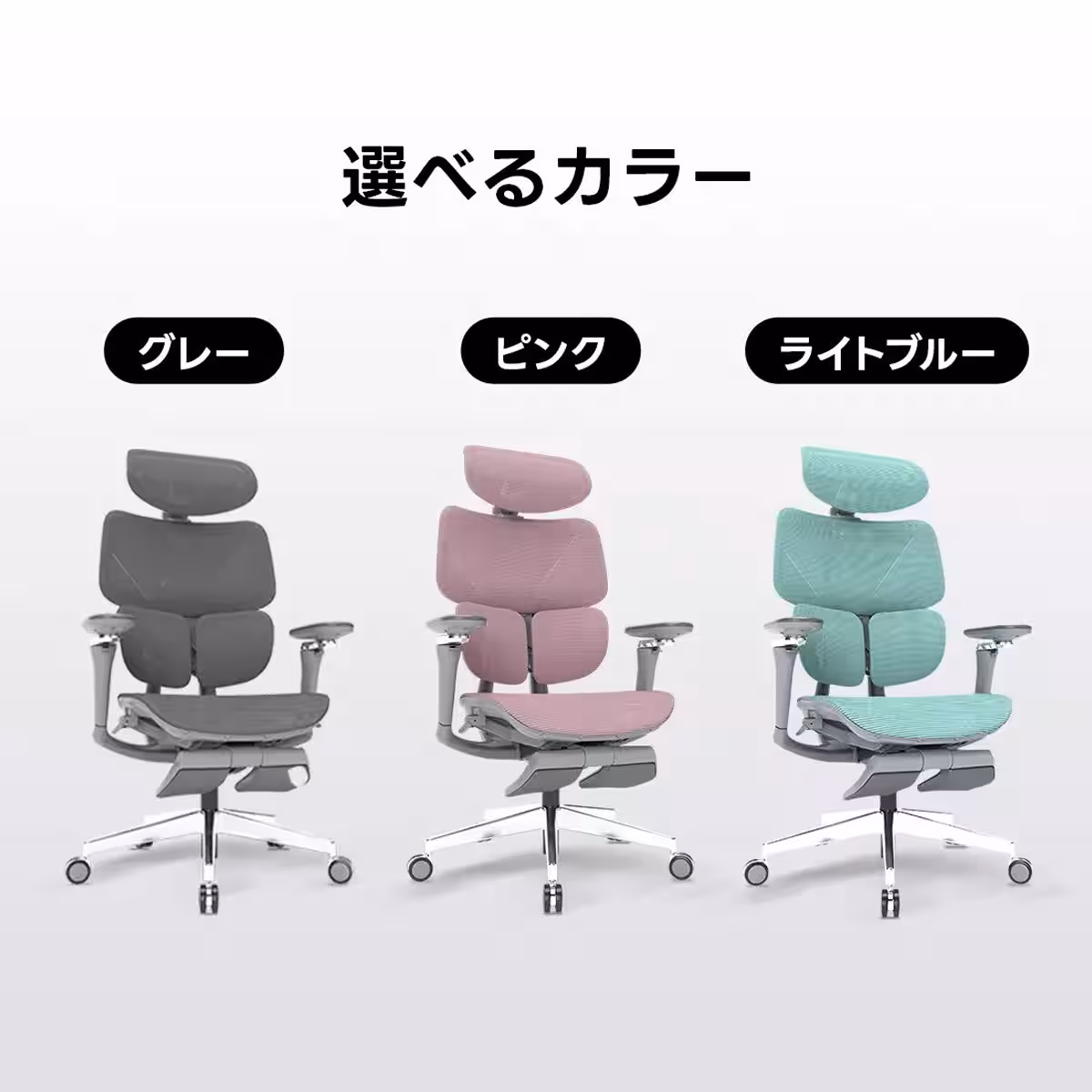 画像14