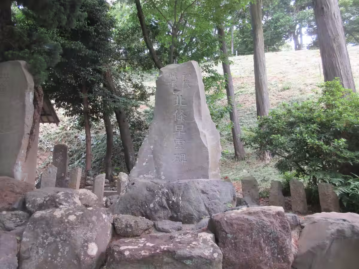 画像4