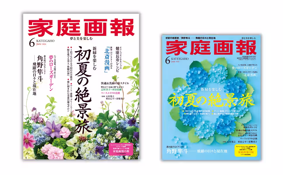 画像8