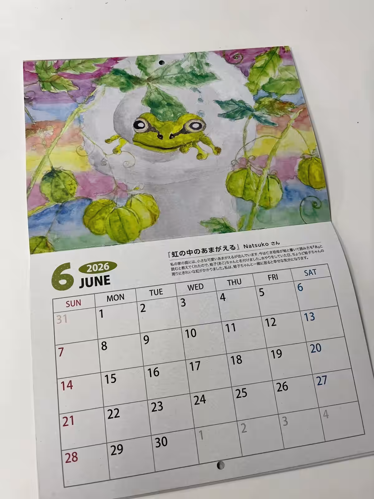 画像4