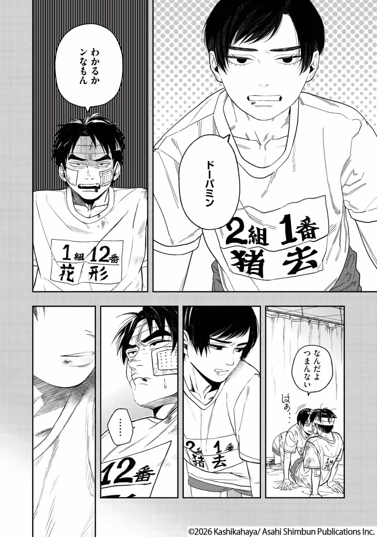 画像4