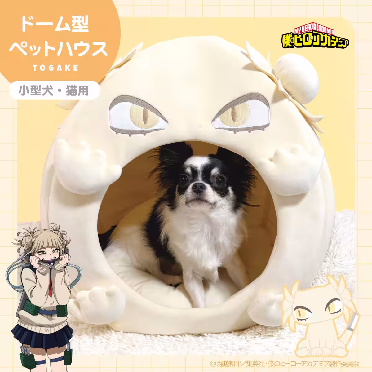 画像4