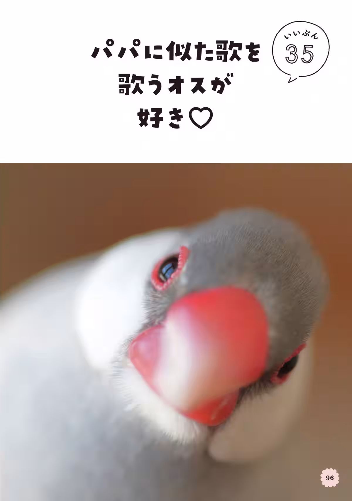 画像12