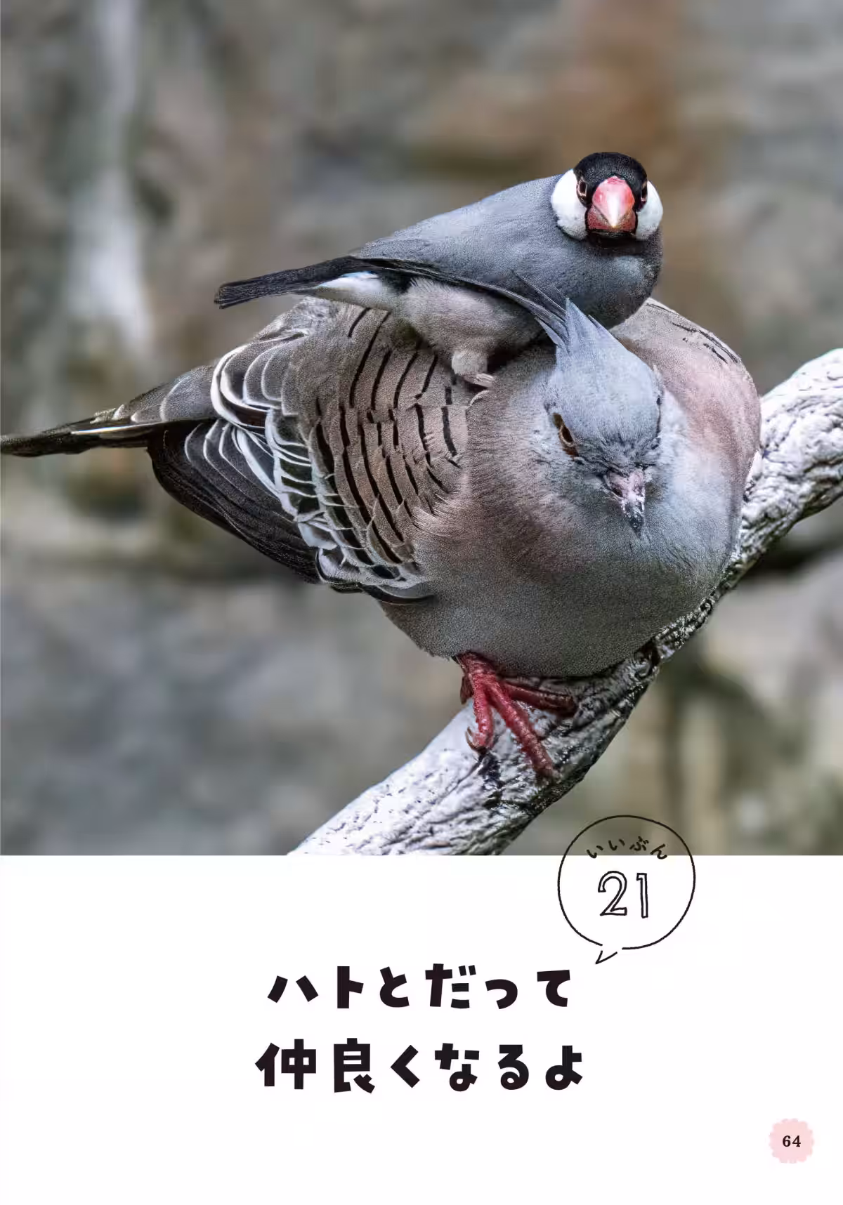 画像14