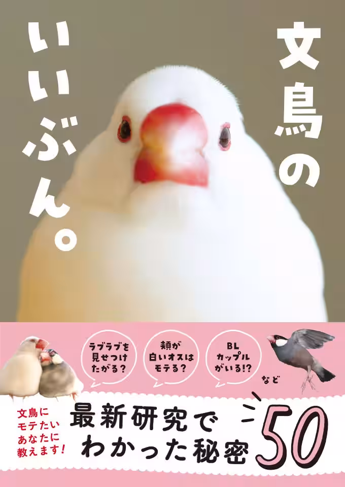 画像13