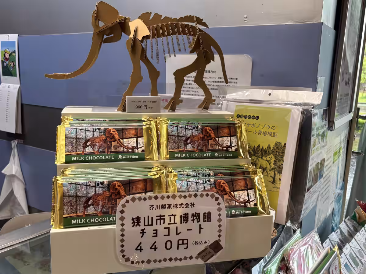 画像5