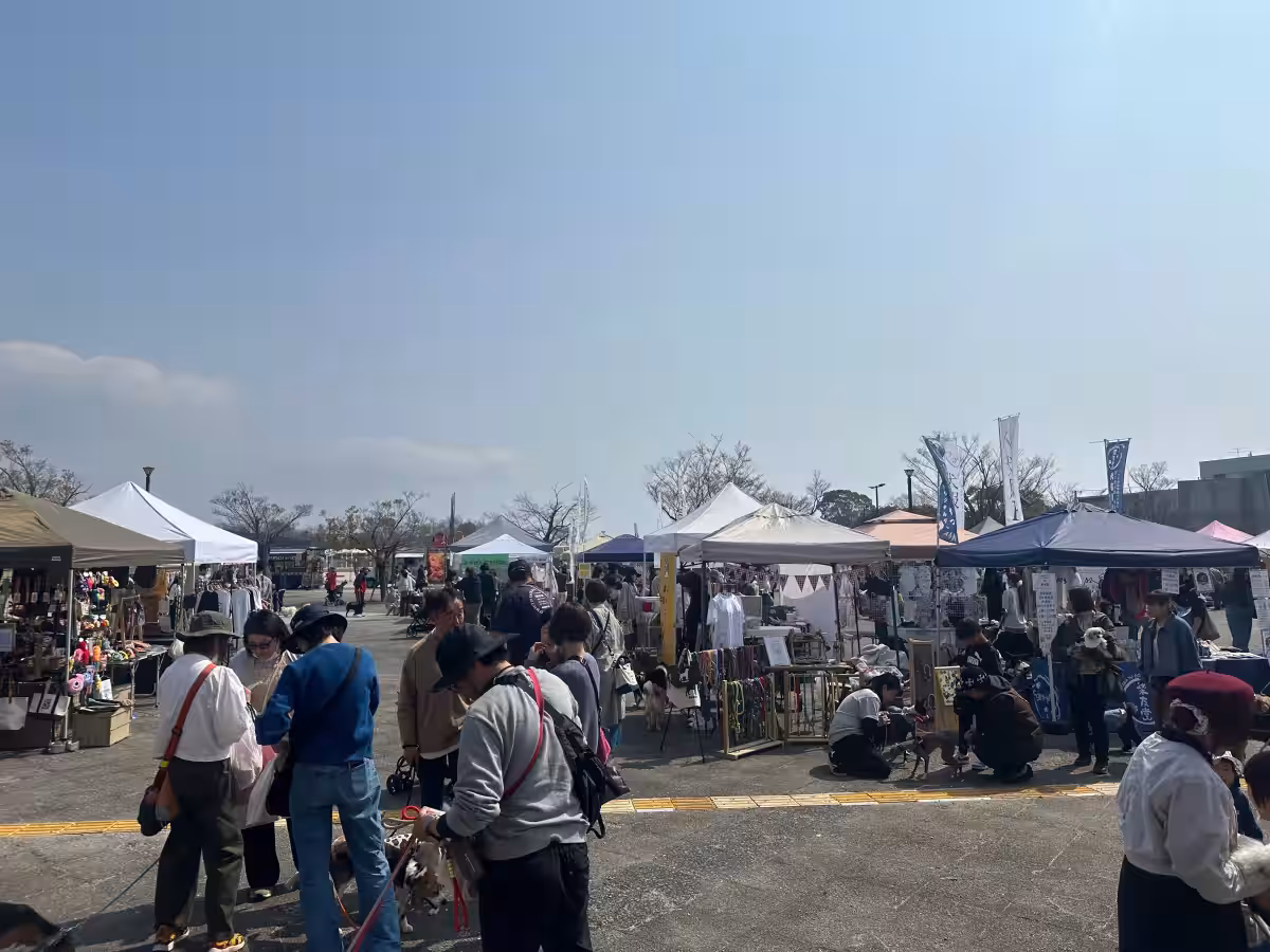 画像6