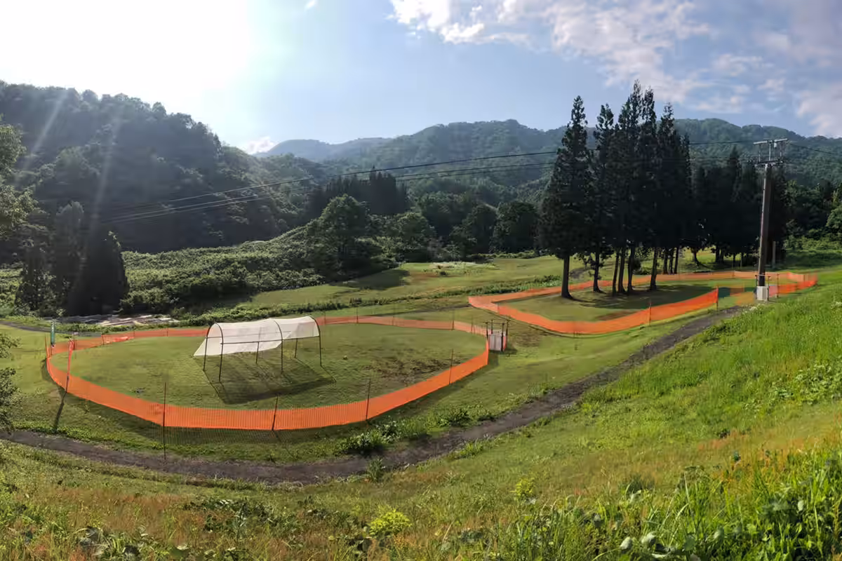 画像13