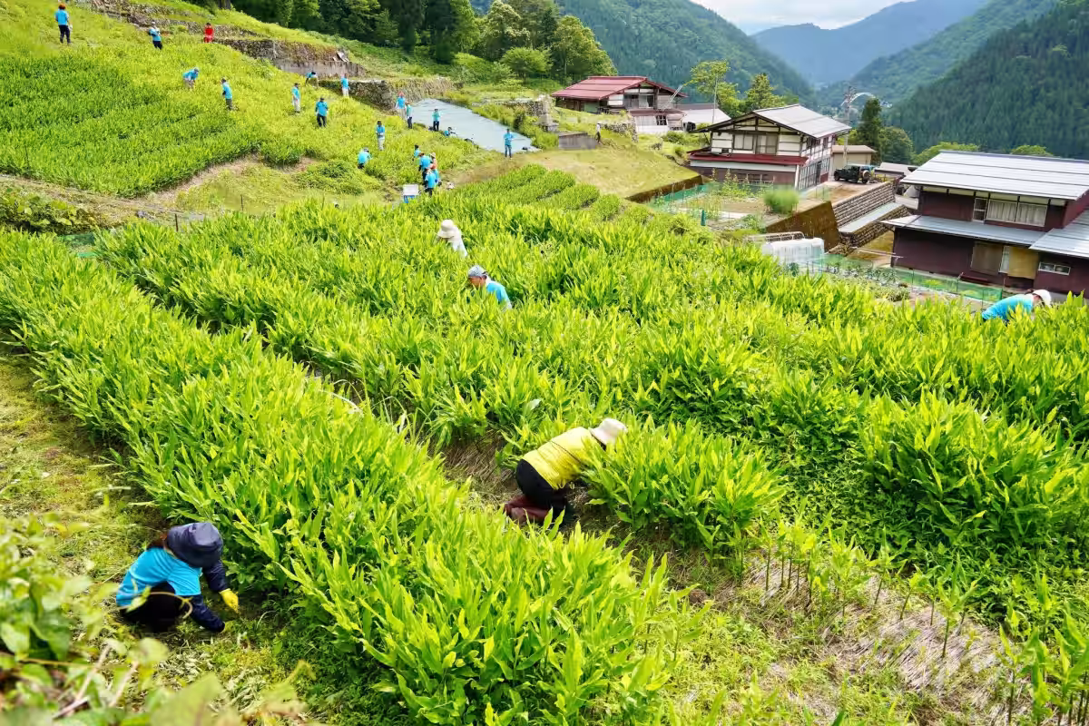 画像4