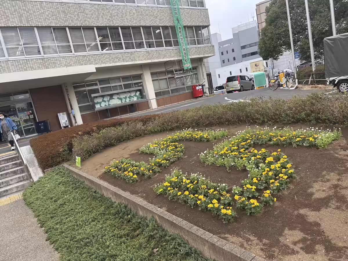 画像7