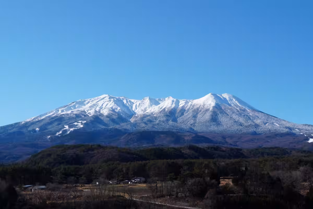 画像7