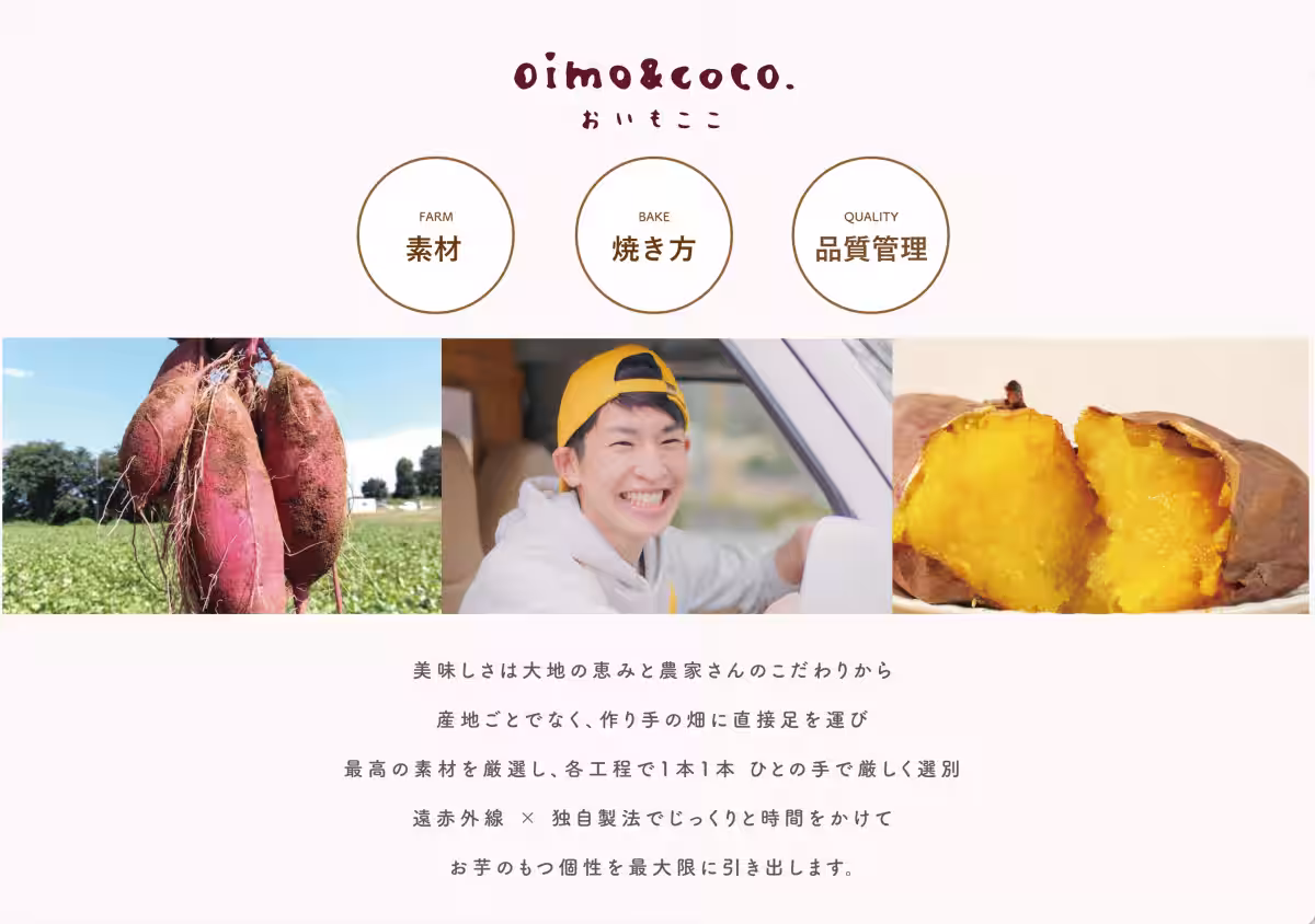 画像13