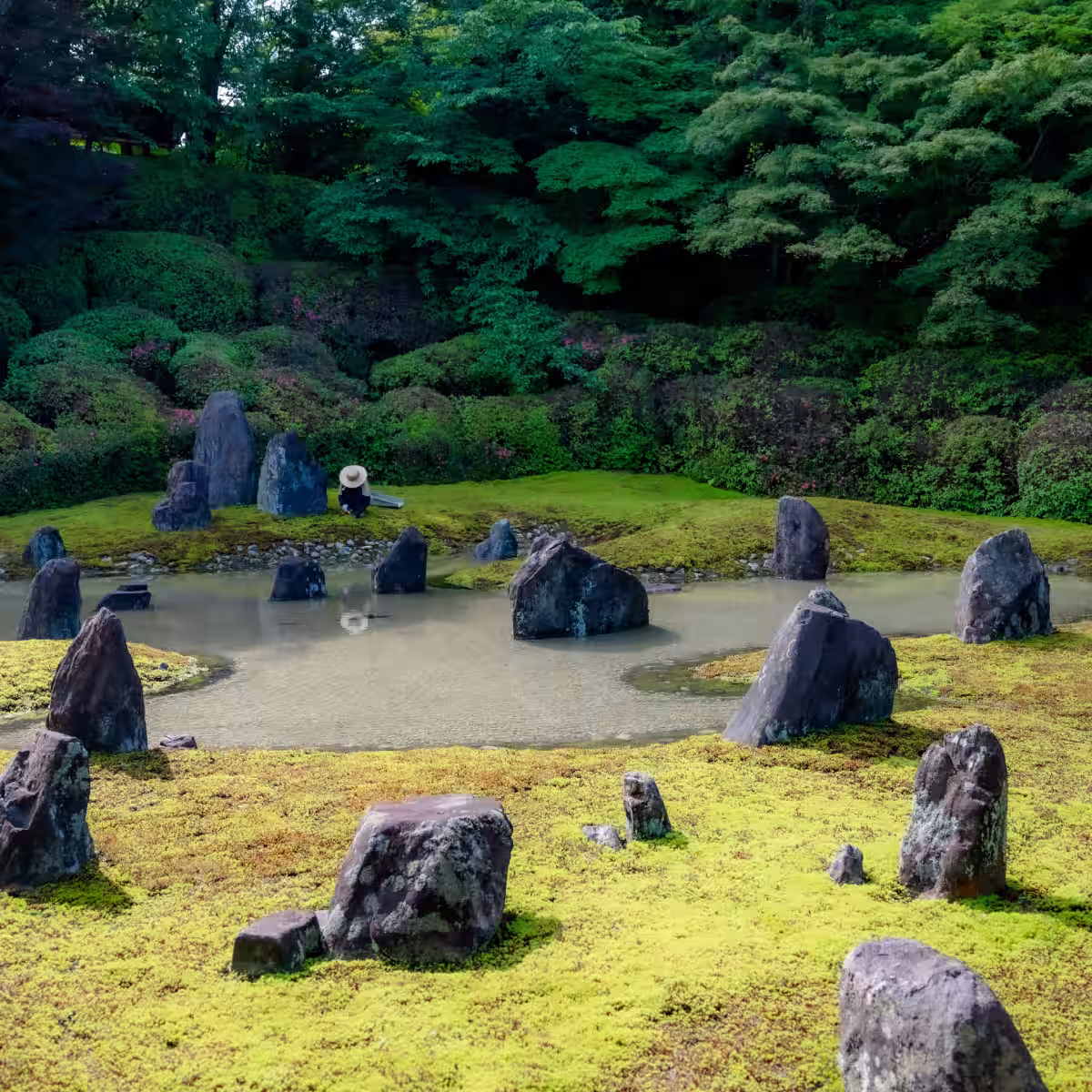 画像9