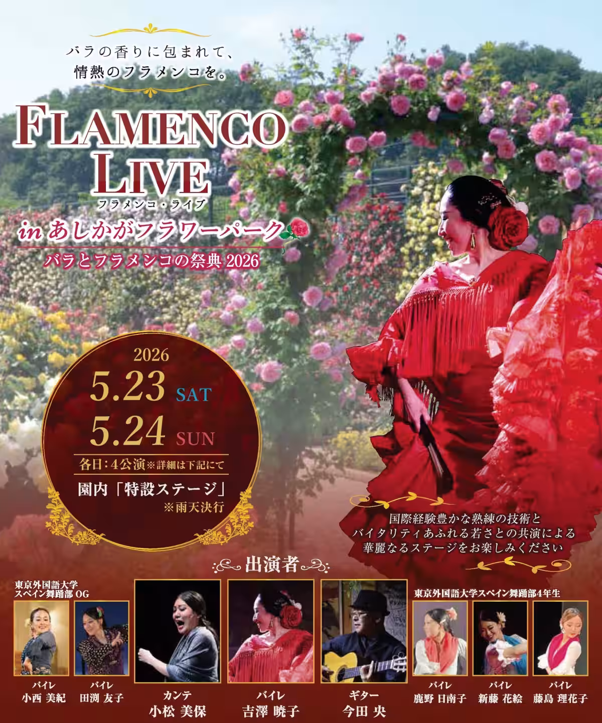 画像25