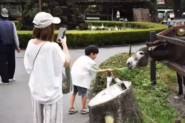 画像4