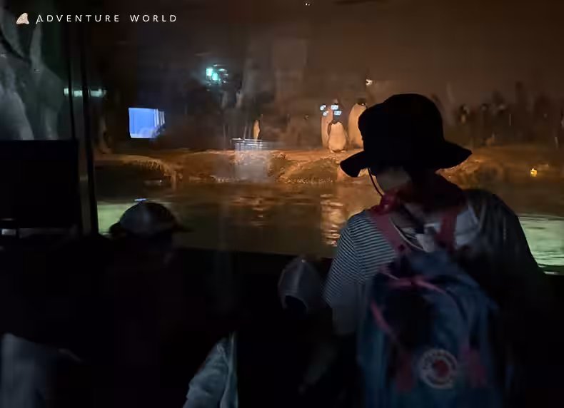 画像11