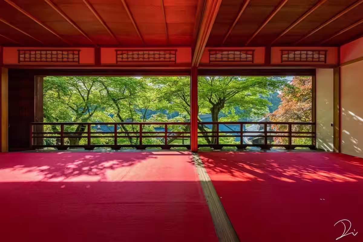 画像7