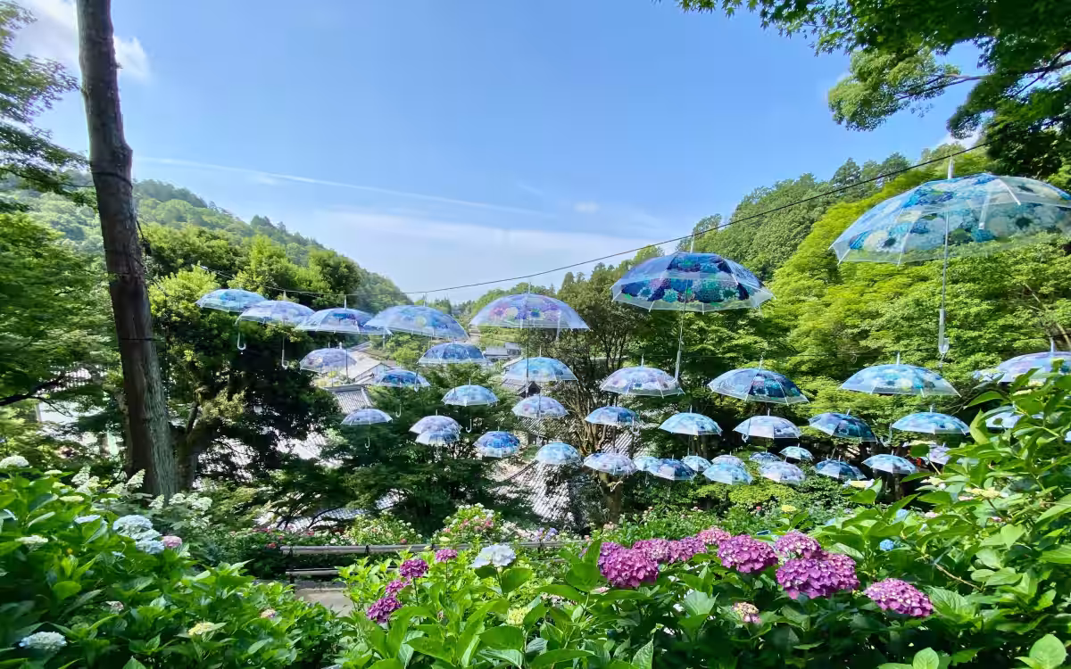 画像6