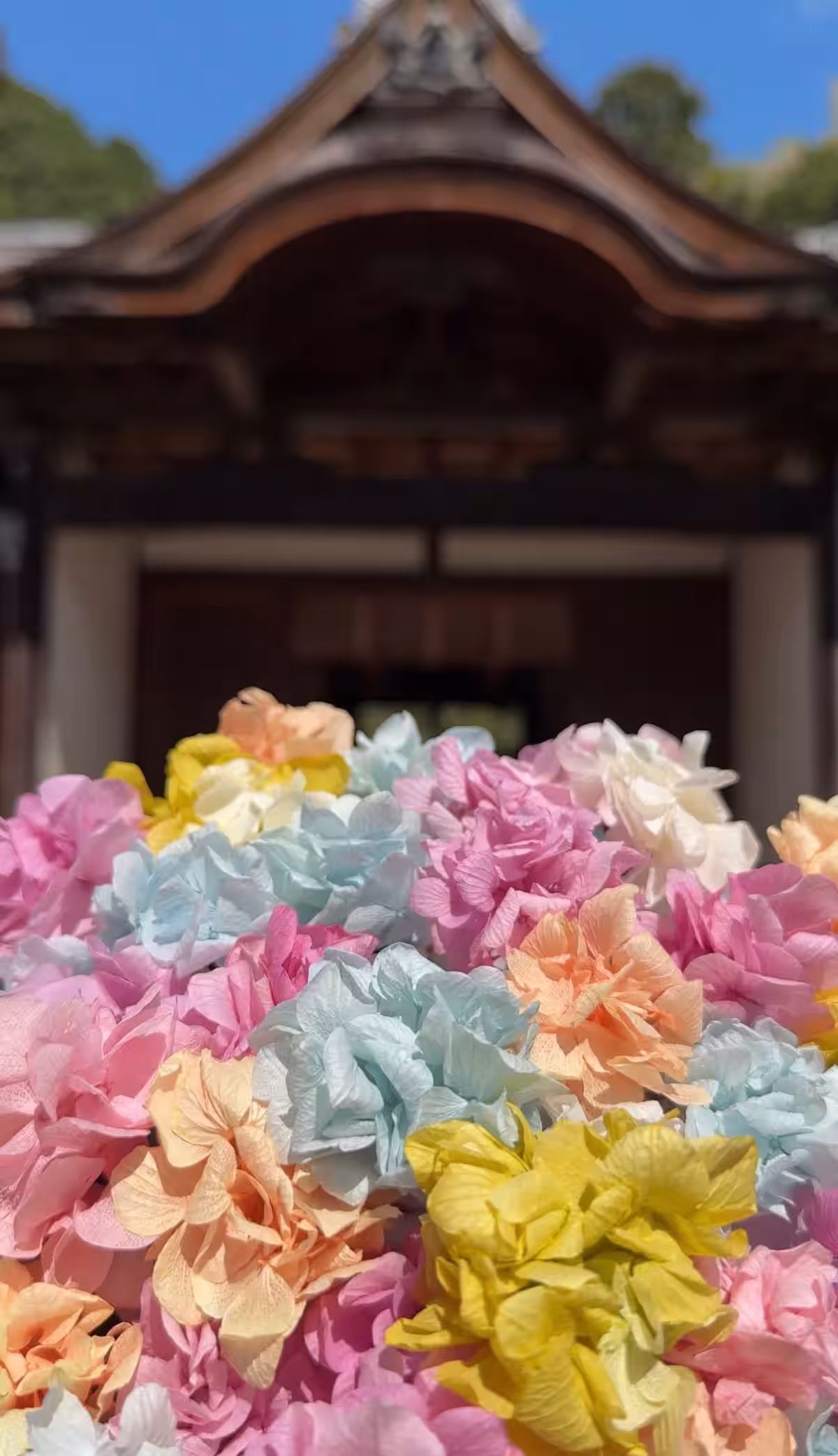 画像10