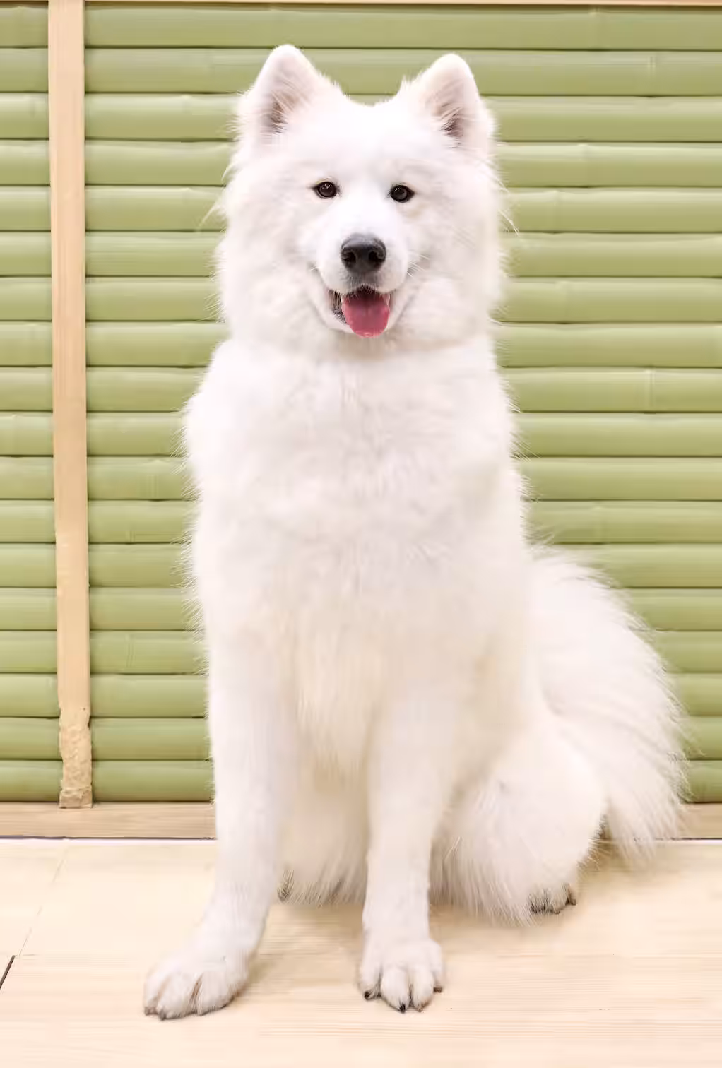 画像7