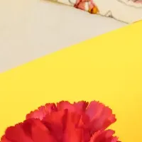 母の日ギフト特集