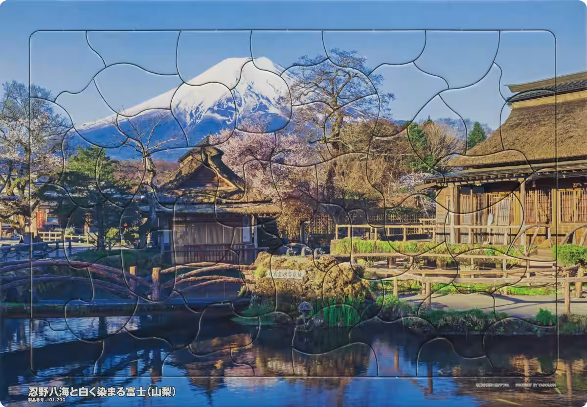 画像14