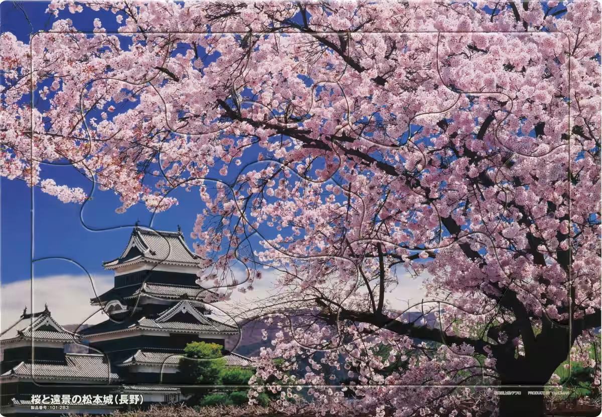 画像7
