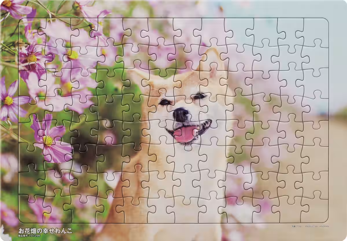 画像20