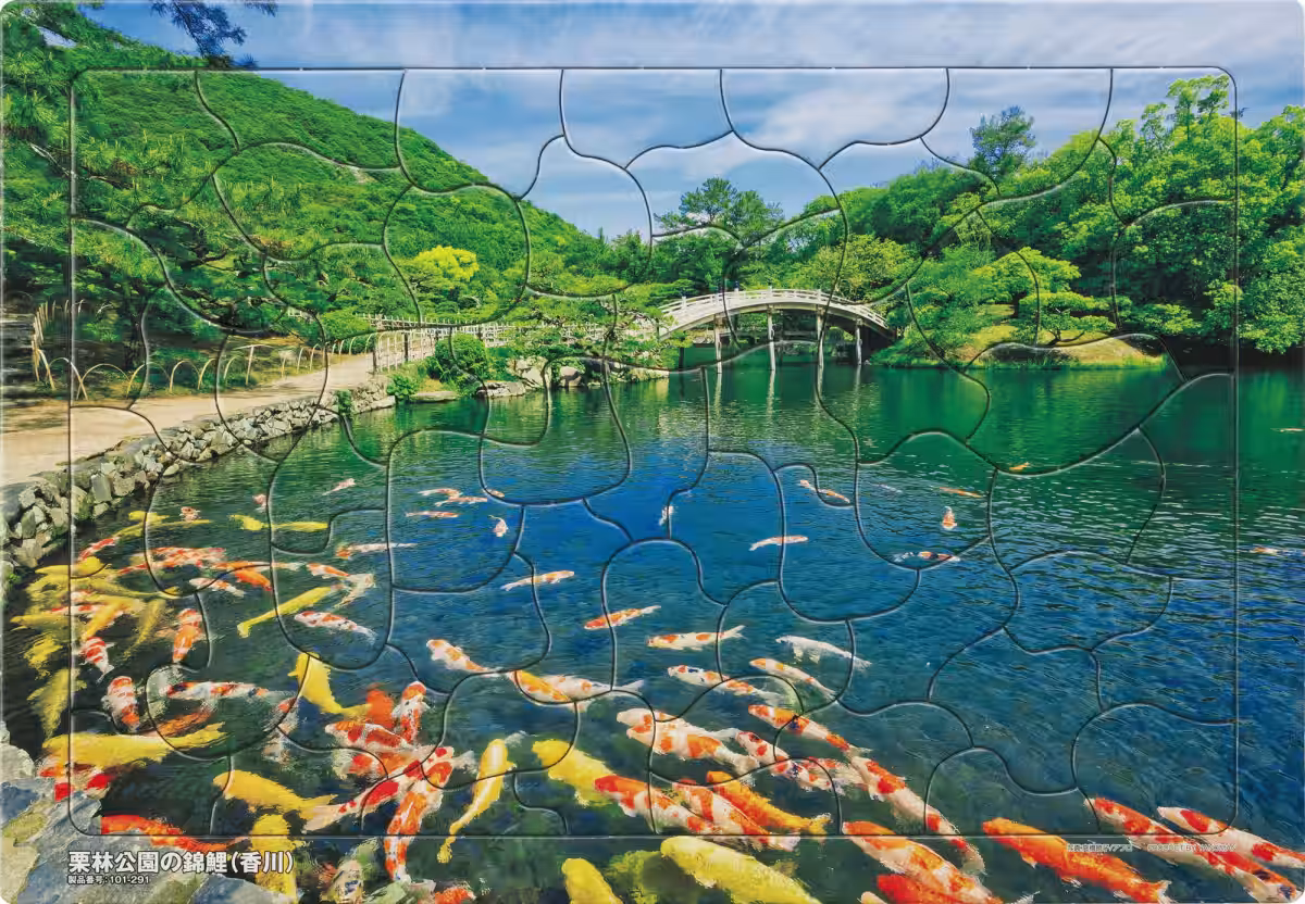 画像15