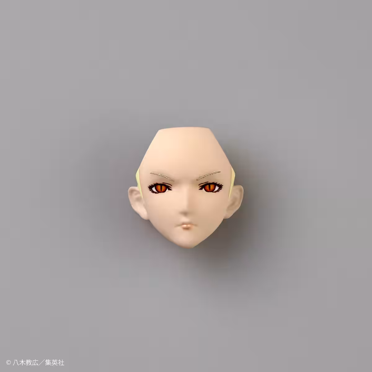画像17