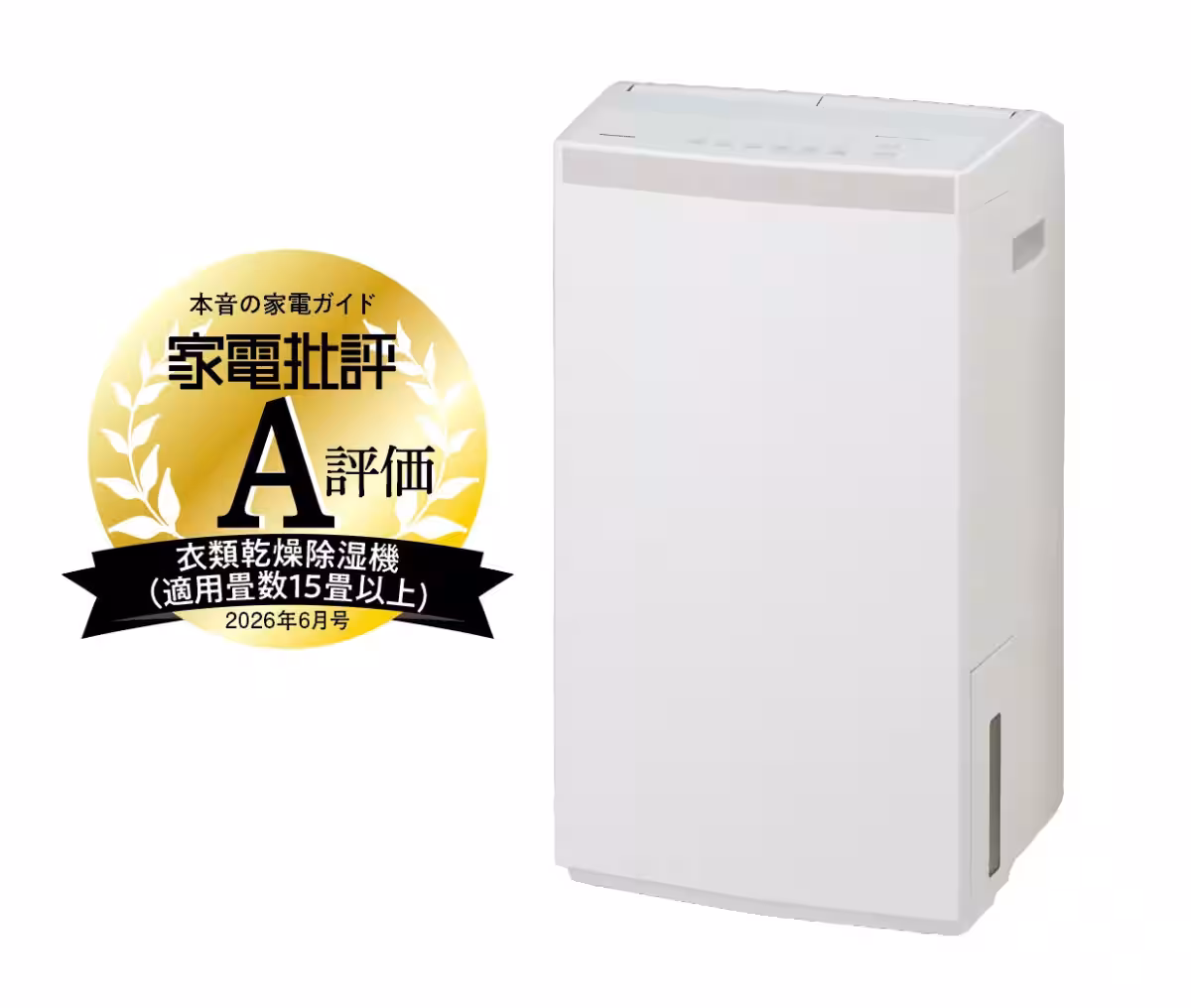 画像12