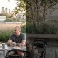 ツバメの巣CAFE