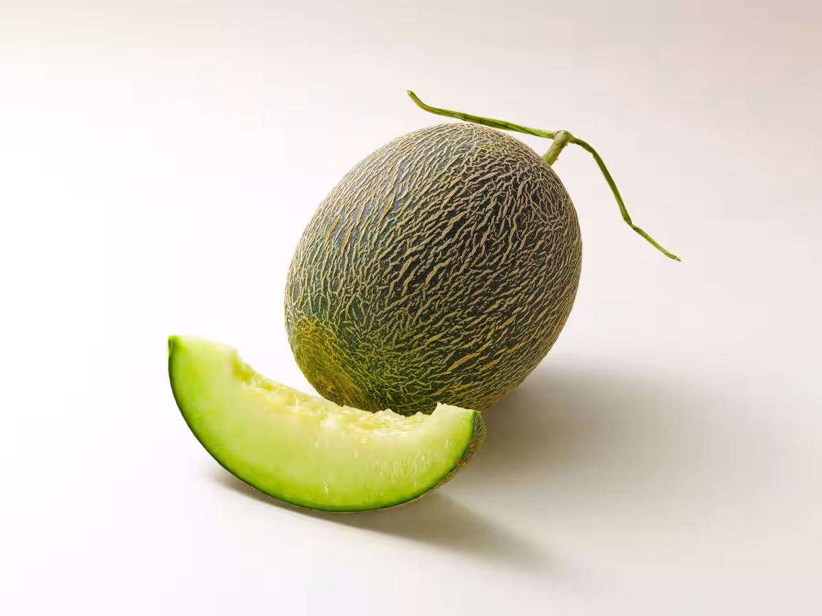 画像13