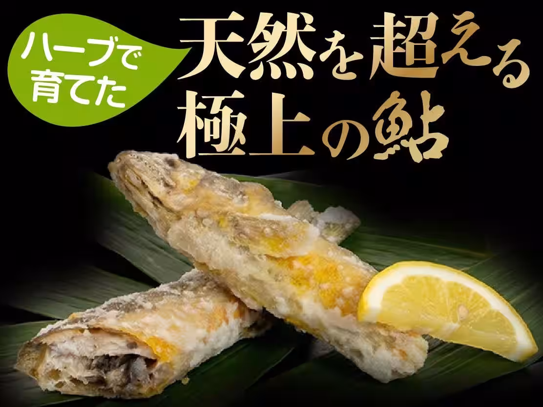 画像9