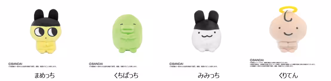 画像5