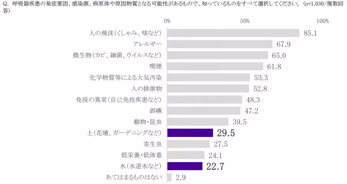 画像13