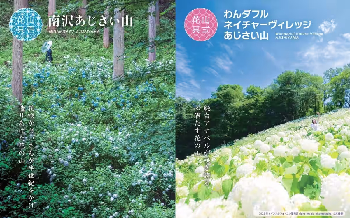 画像21