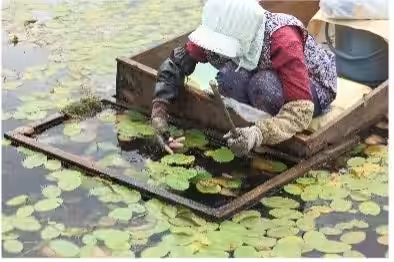 画像11