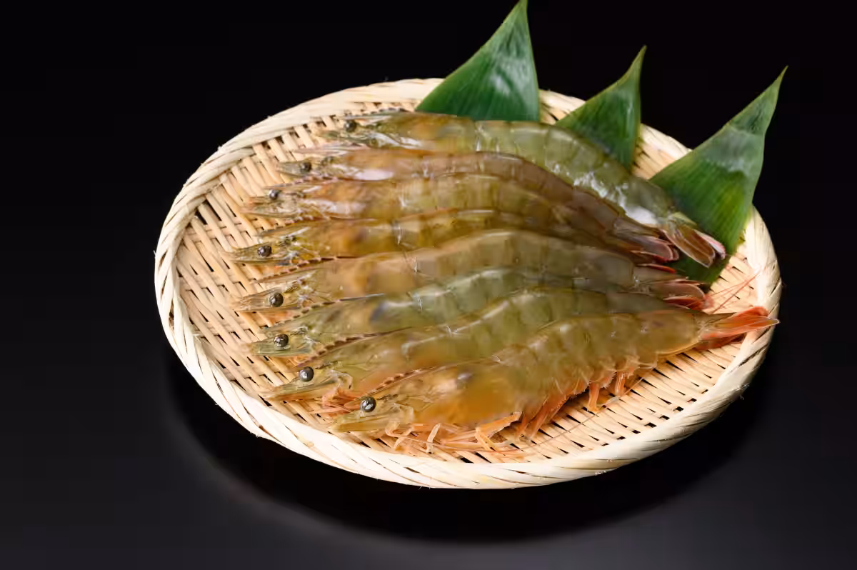 画像6