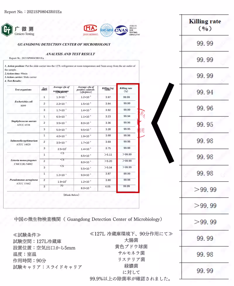 画像11