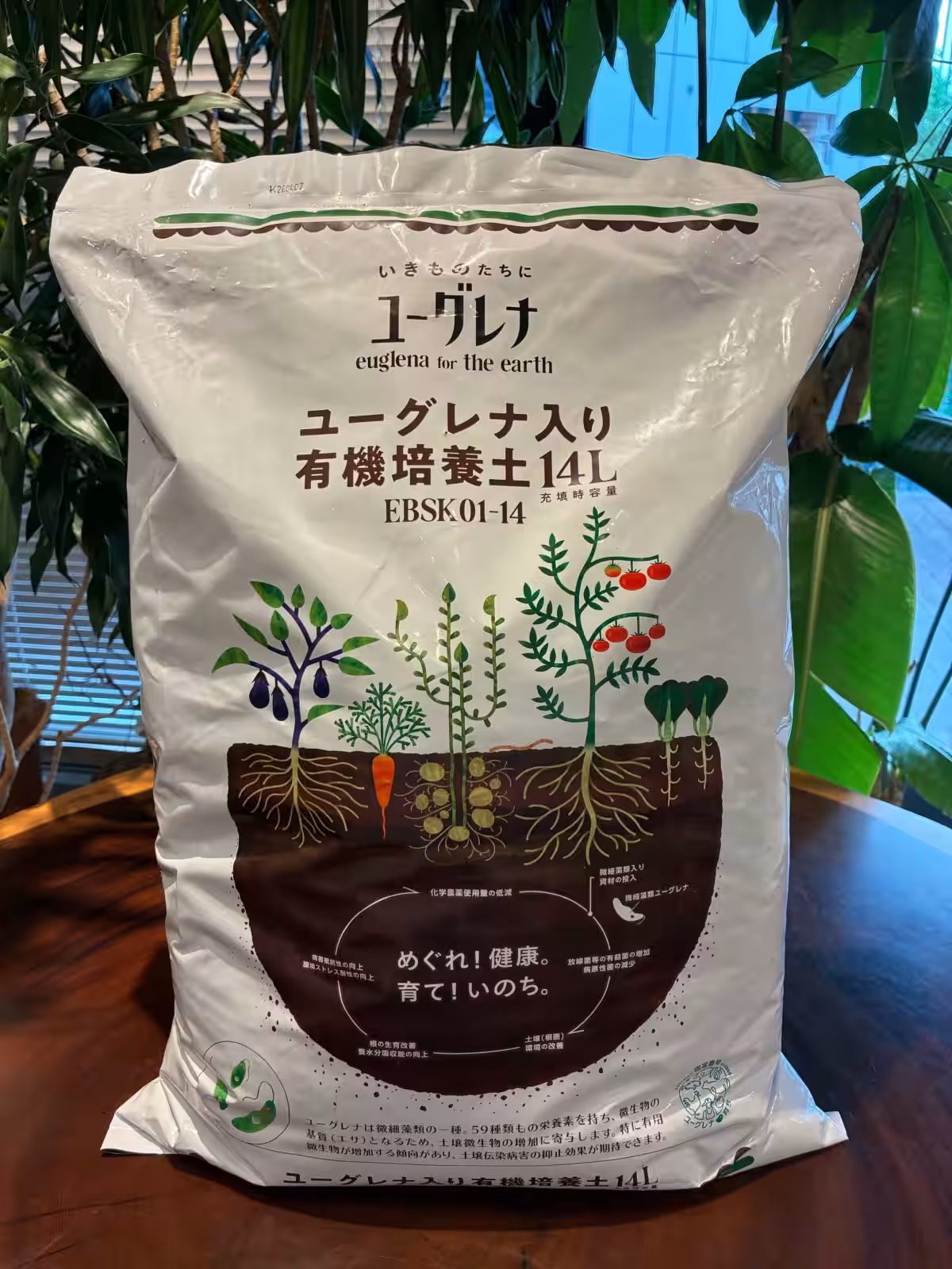 画像1