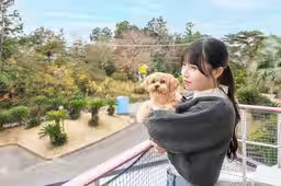 画像10