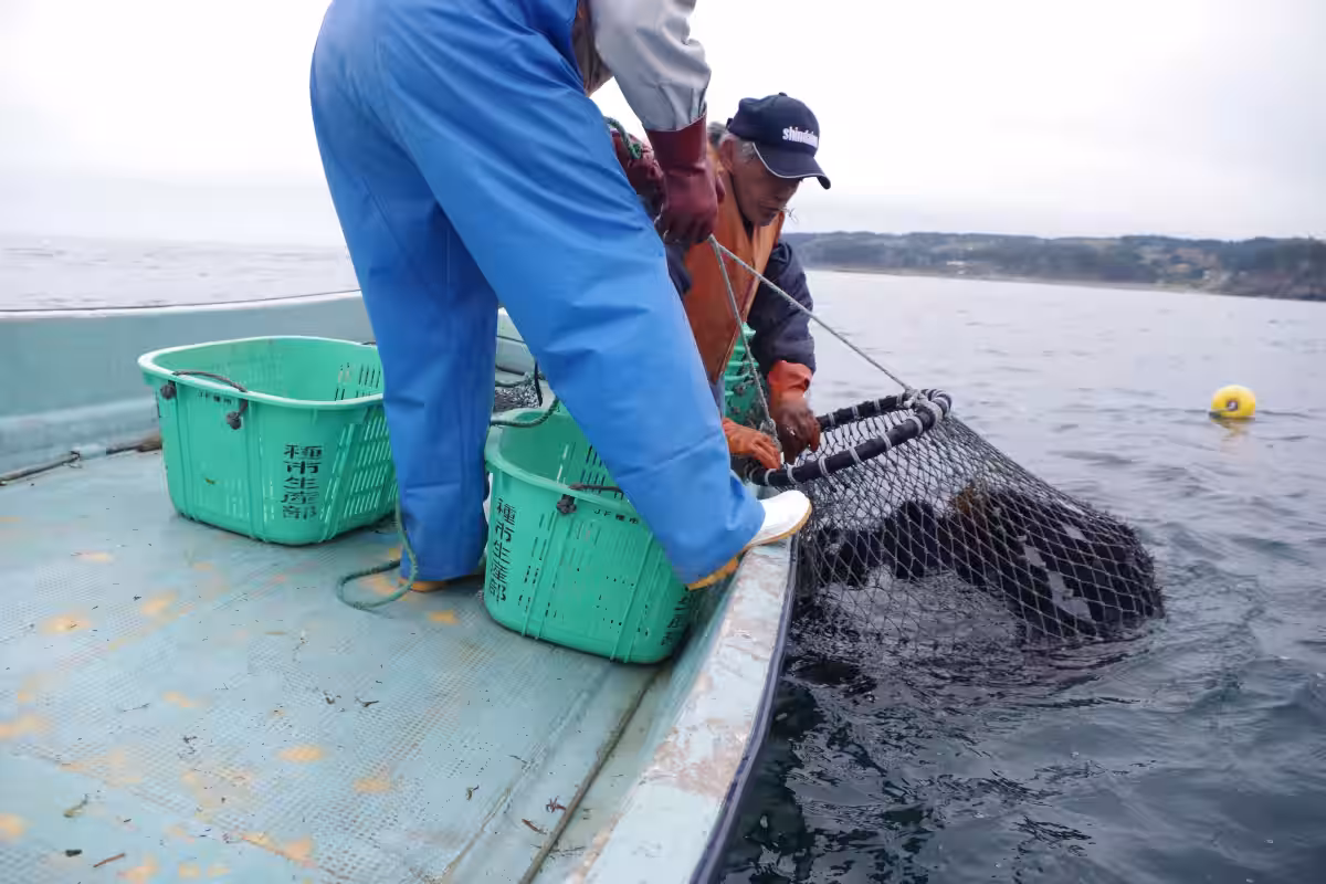 画像4