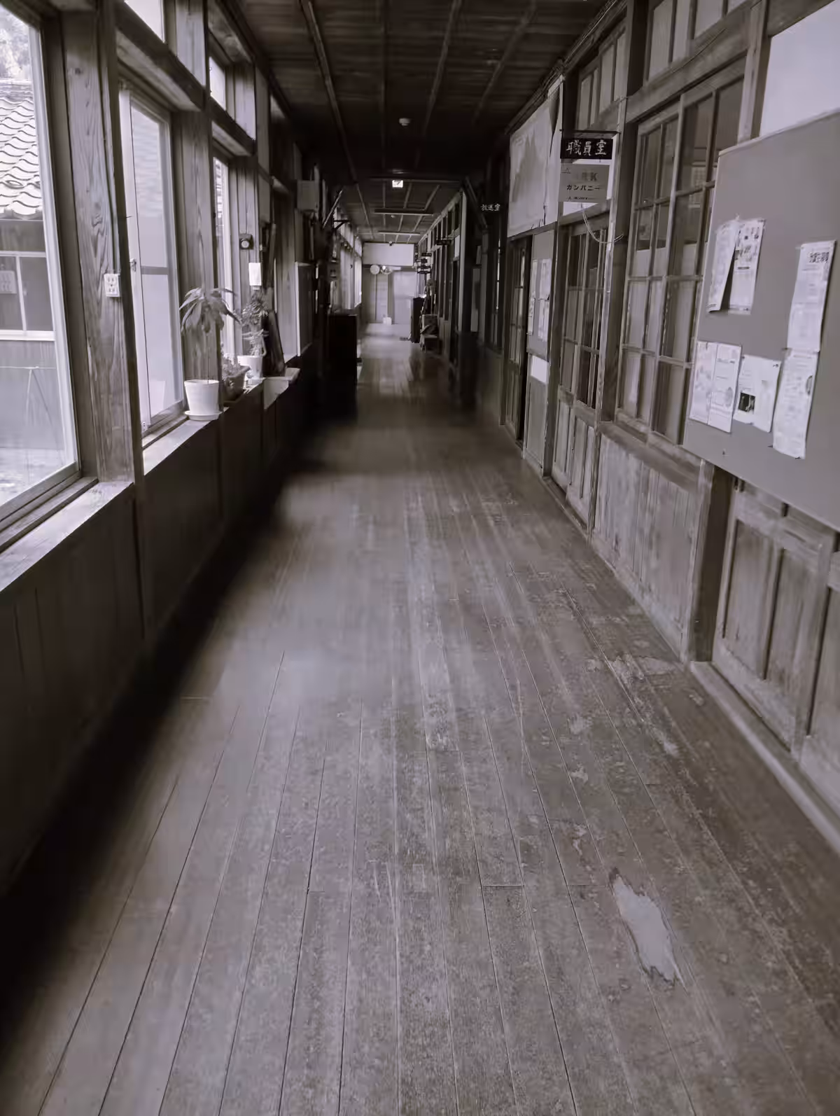 画像9