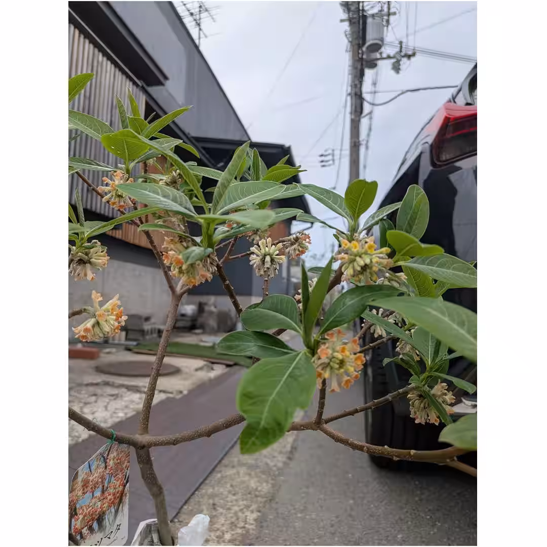 画像20