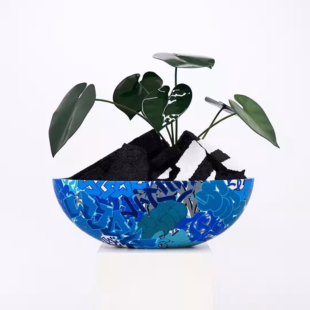 画像11