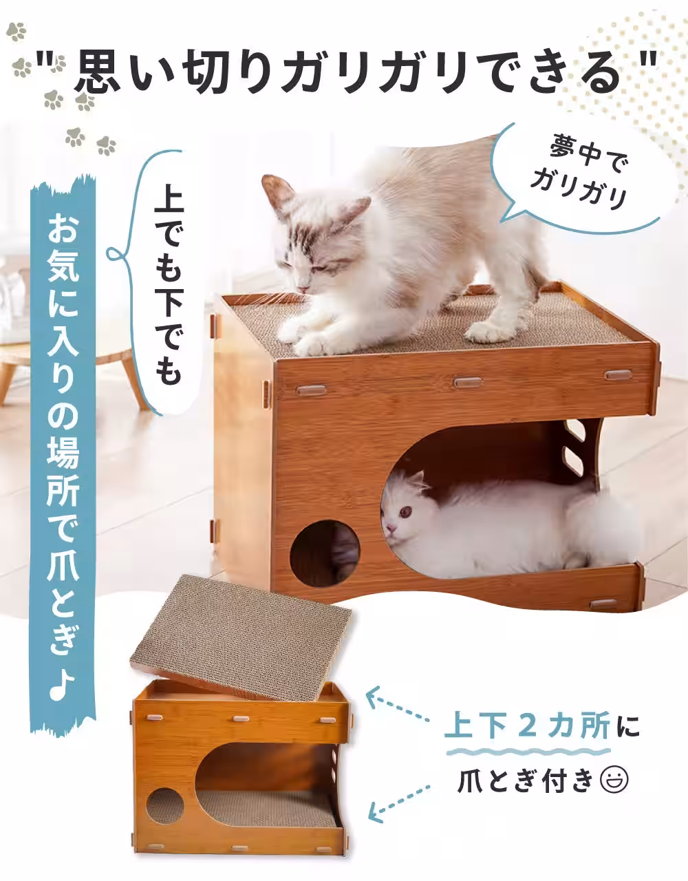 画像15